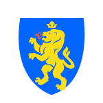 local_team_flag